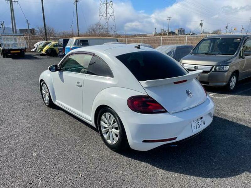 THE BEETLE
