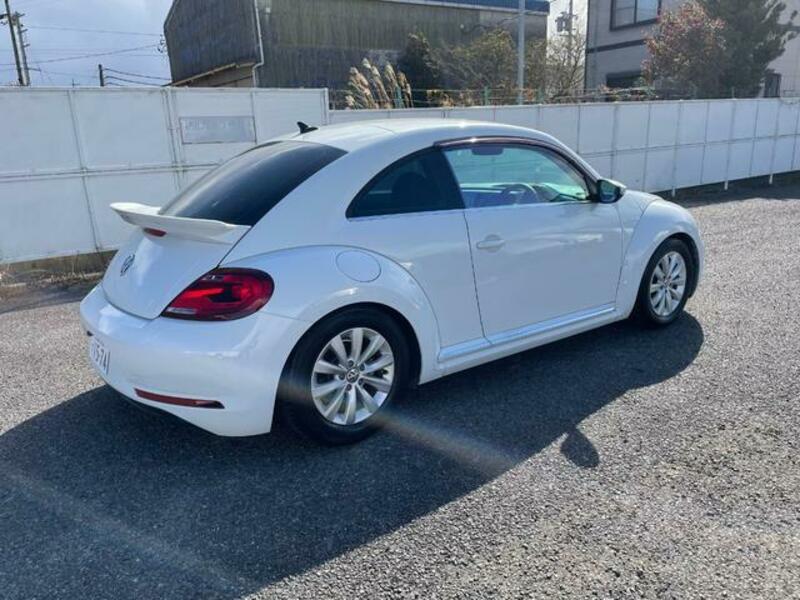 THE BEETLE