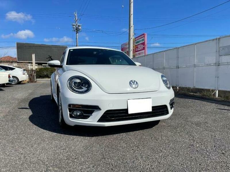 THE BEETLE