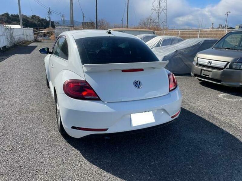 THE BEETLE