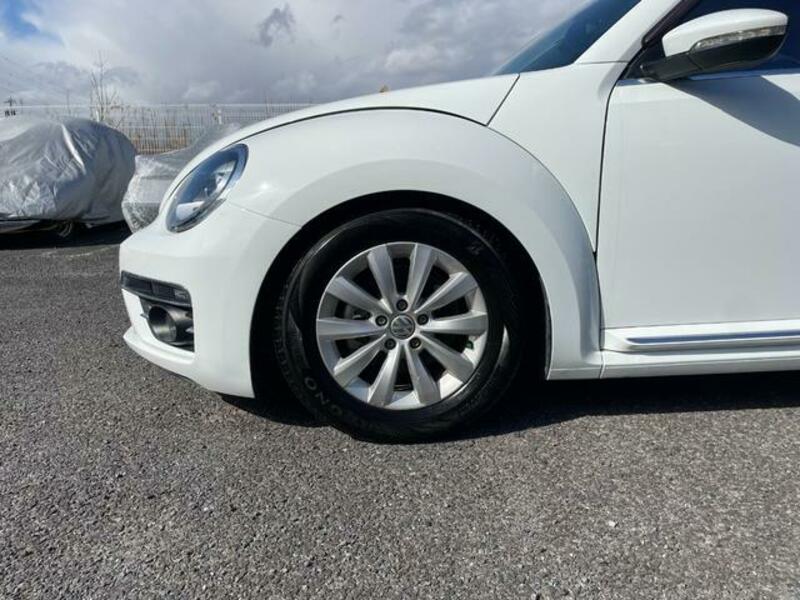 THE BEETLE