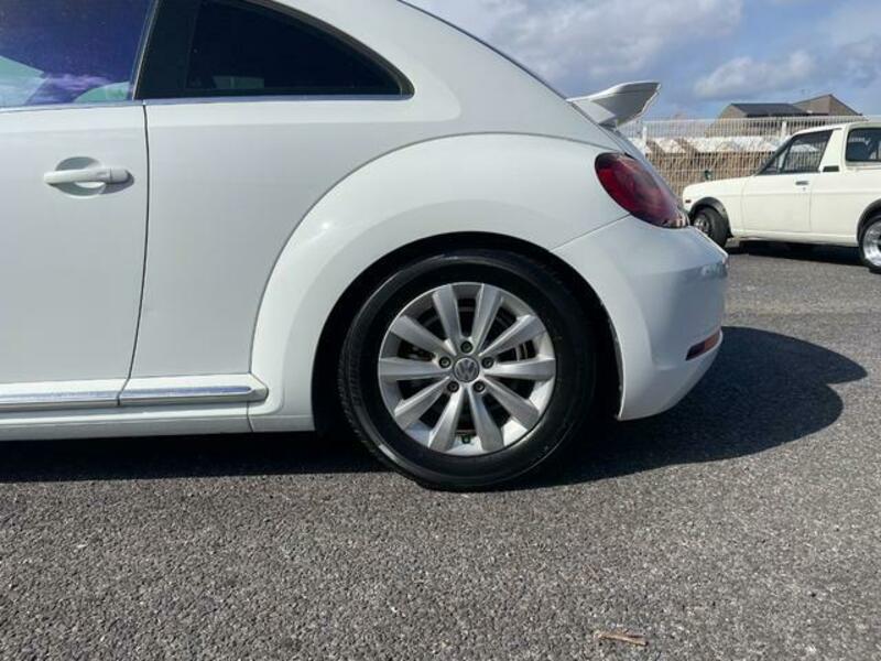 THE BEETLE