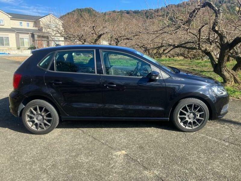 POLO