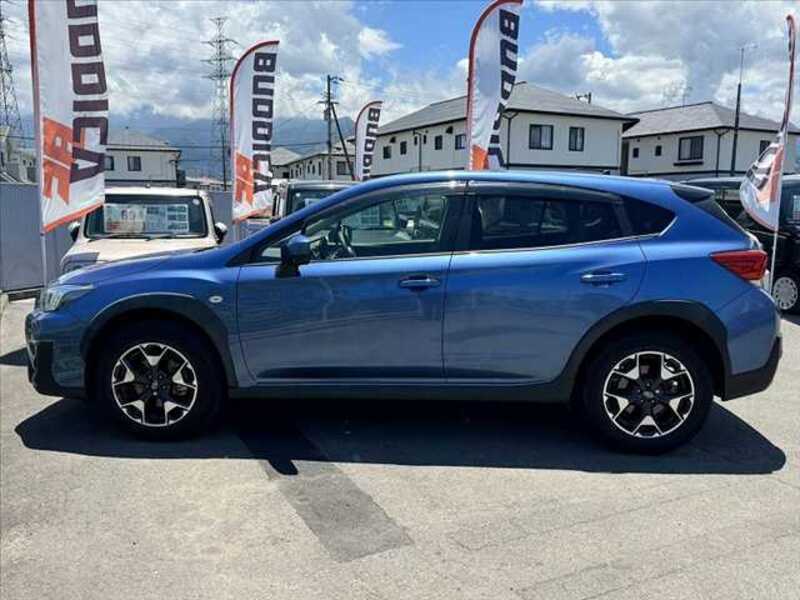 XV