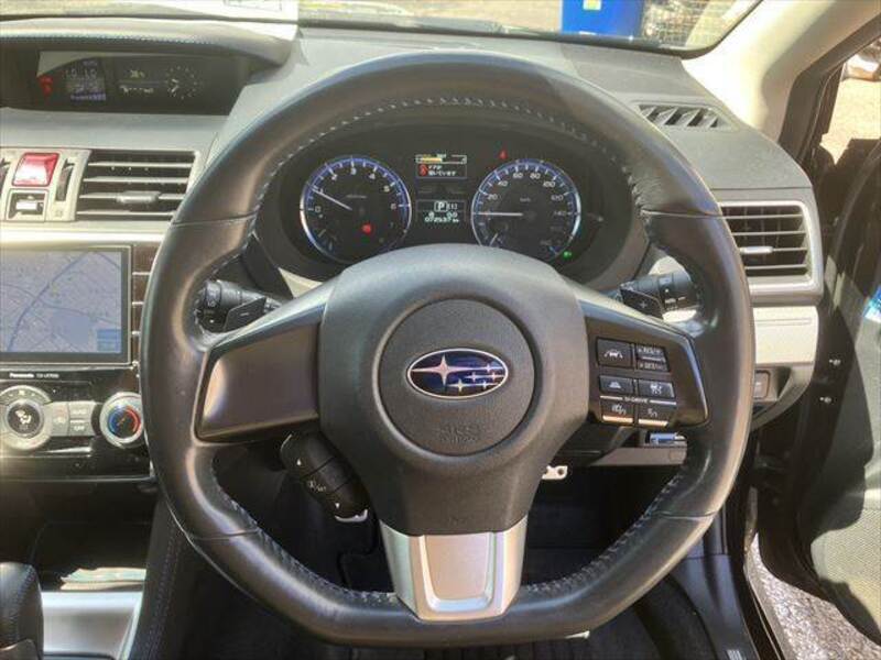 LEVORG