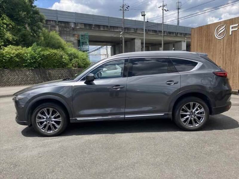 CX-8