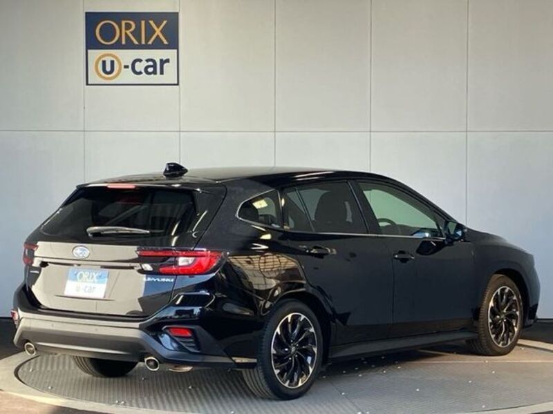 LEVORG