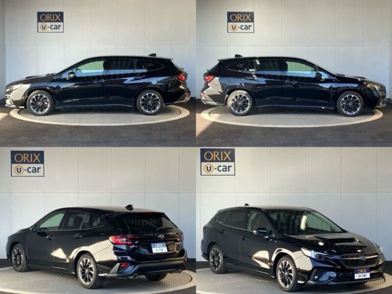 LEVORG