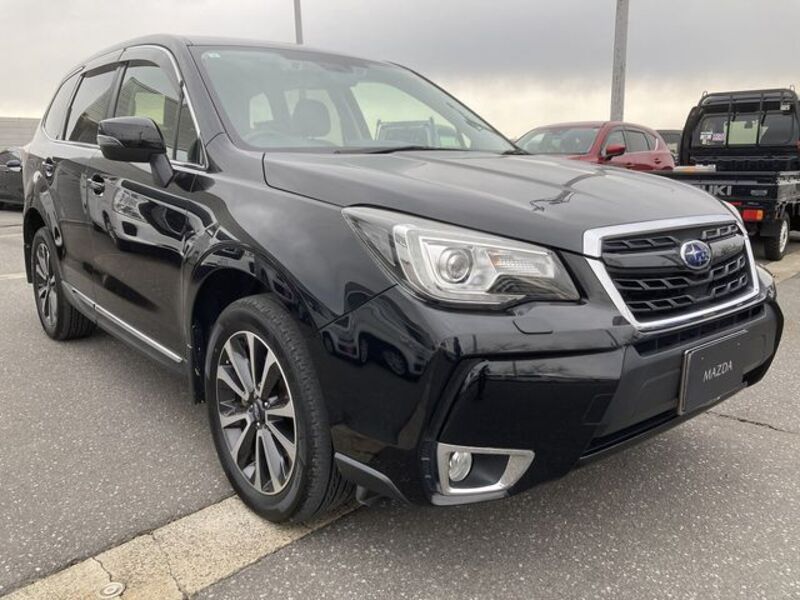 FORESTER