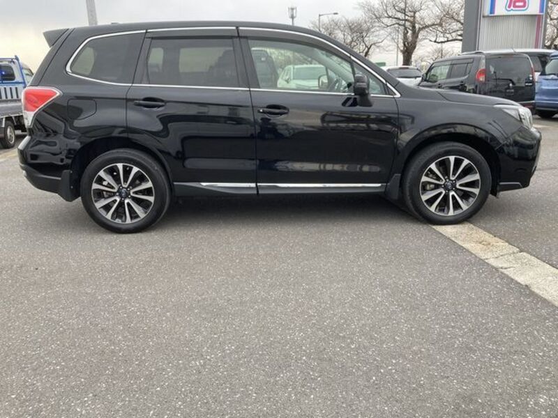 FORESTER