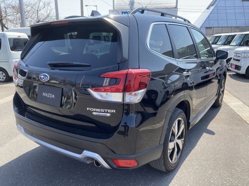 FORESTER