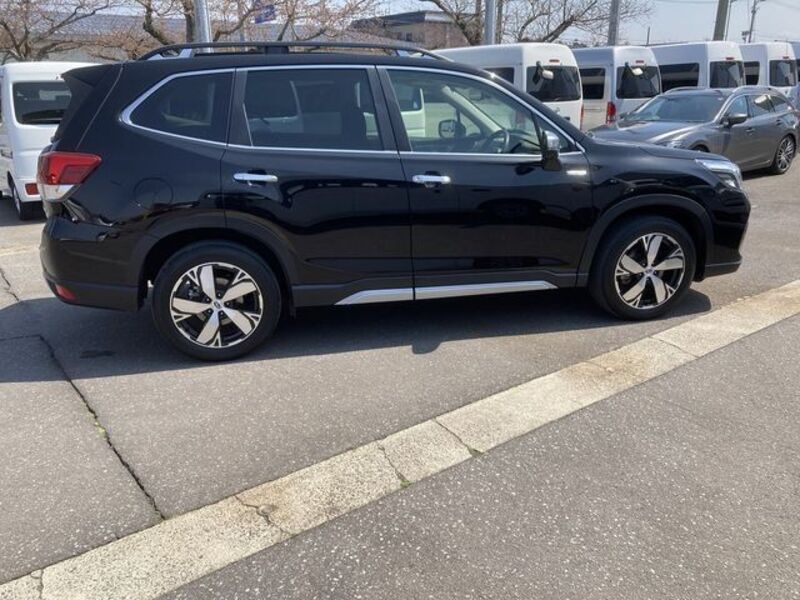 FORESTER