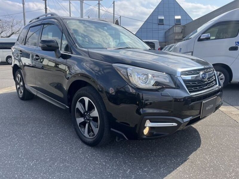 FORESTER