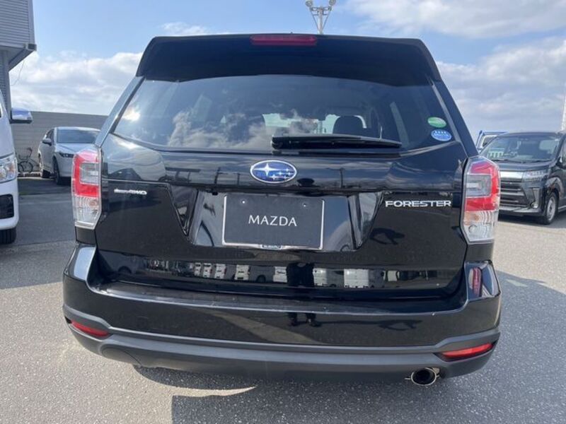 FORESTER