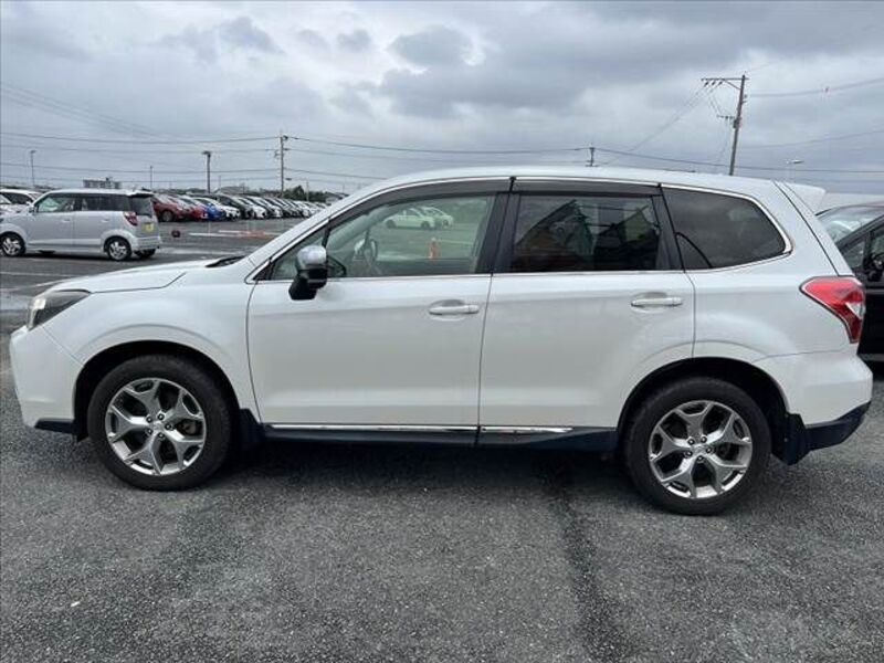 FORESTER