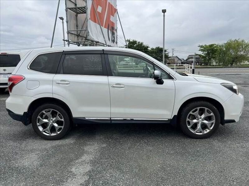 FORESTER