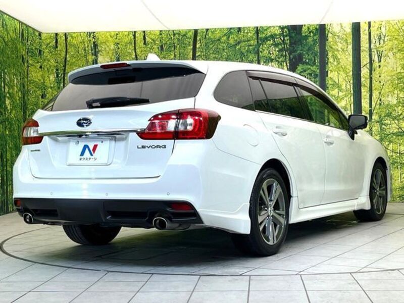 LEVORG