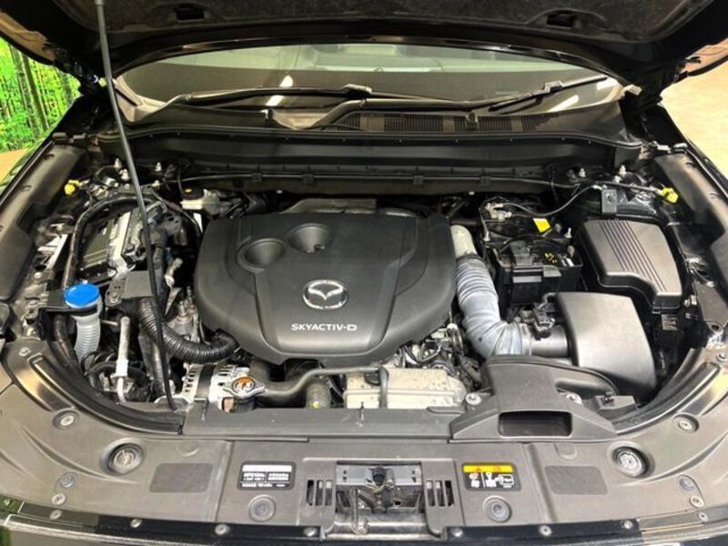 CX-8
