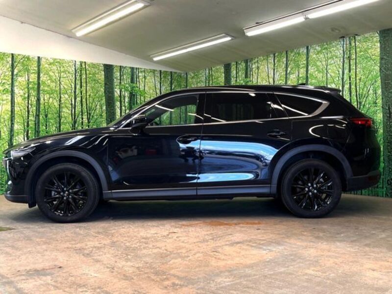 CX-8