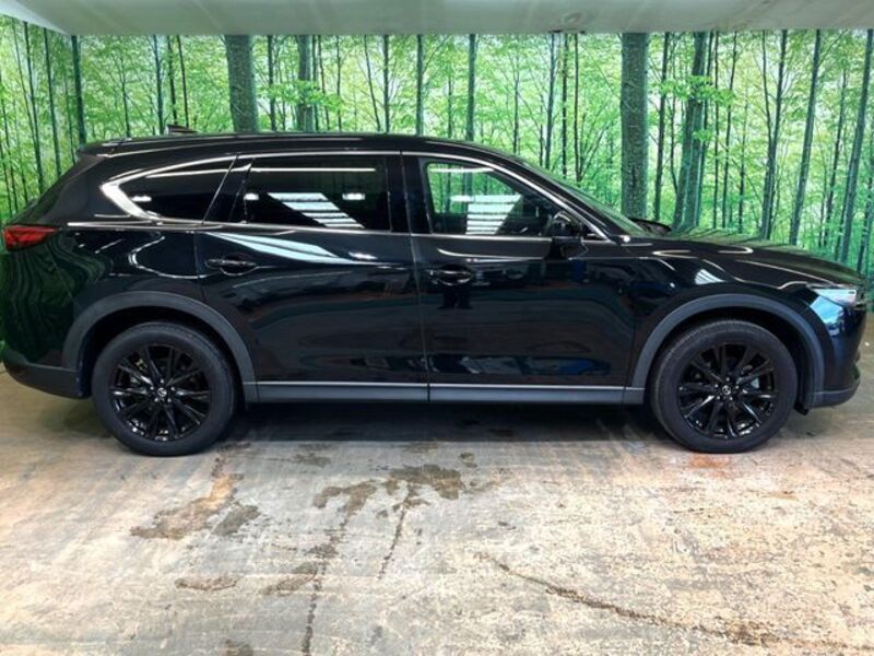 CX-8