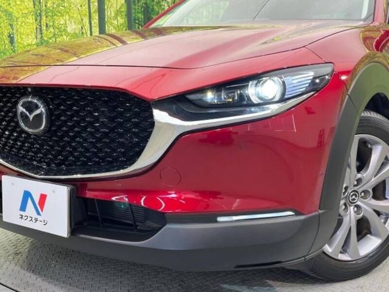 CX-30