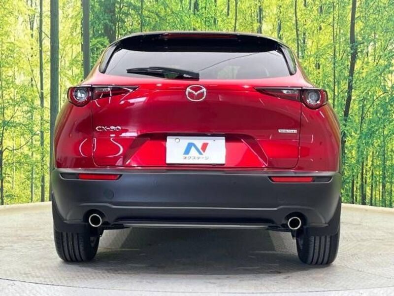 CX-30