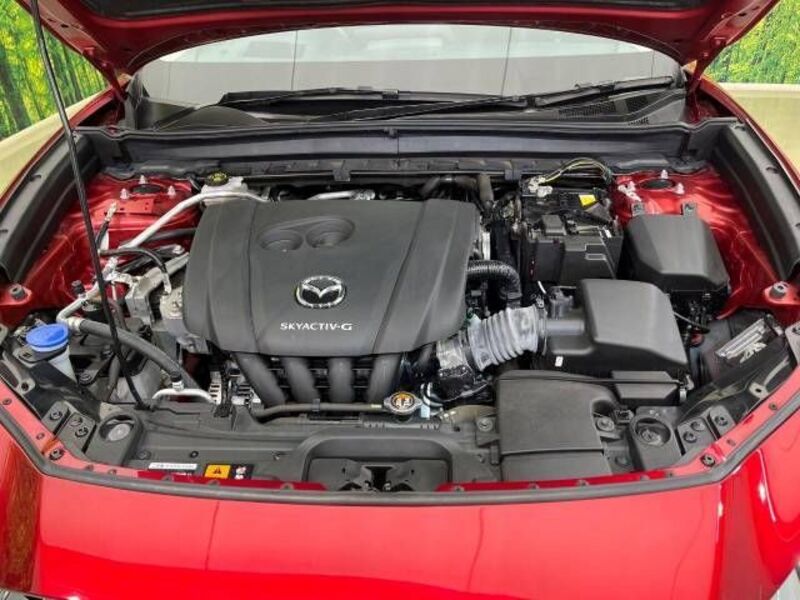 CX-30