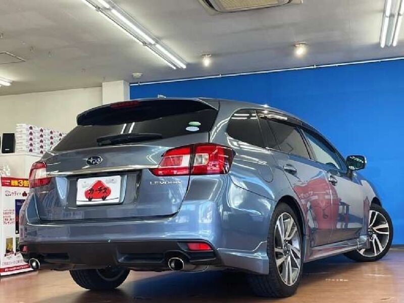 LEVORG