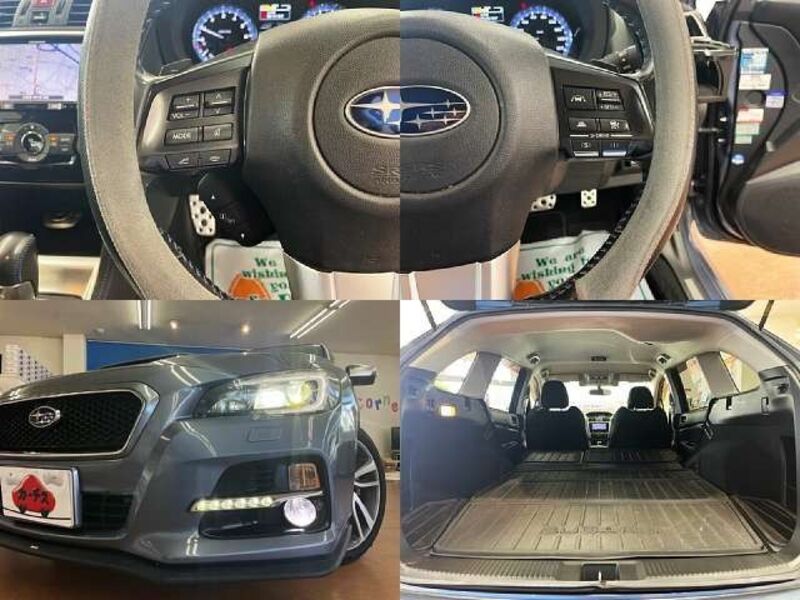 LEVORG