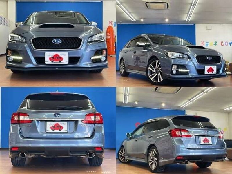LEVORG