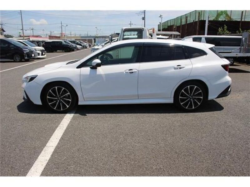 LEVORG