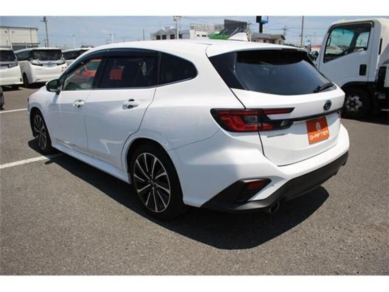 LEVORG