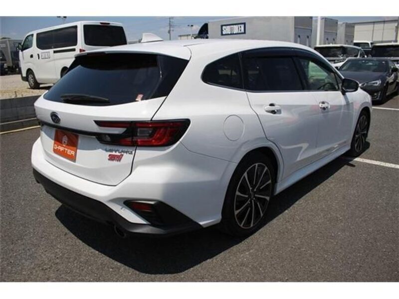 LEVORG