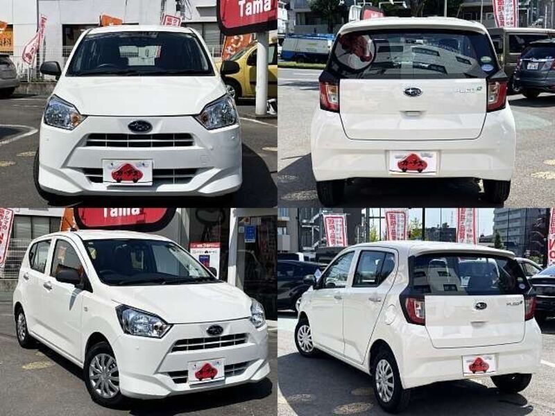 PLEO PLUS