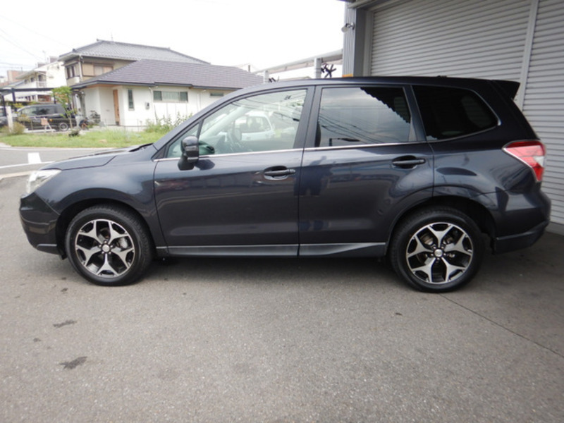 FORESTER