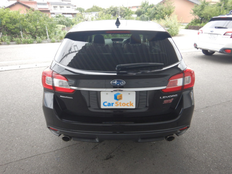 LEVORG