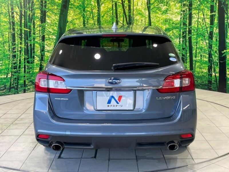 LEVORG