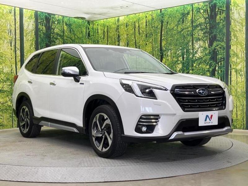 FORESTER