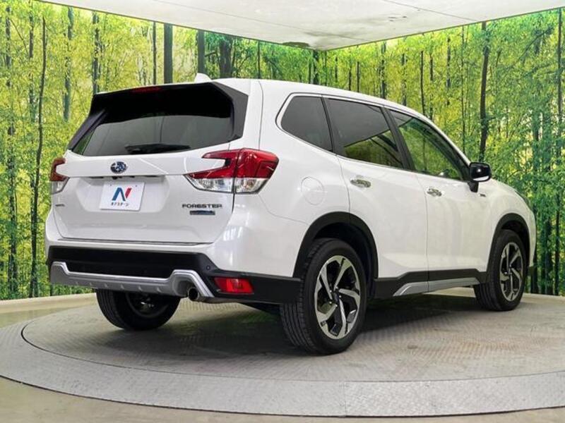 FORESTER