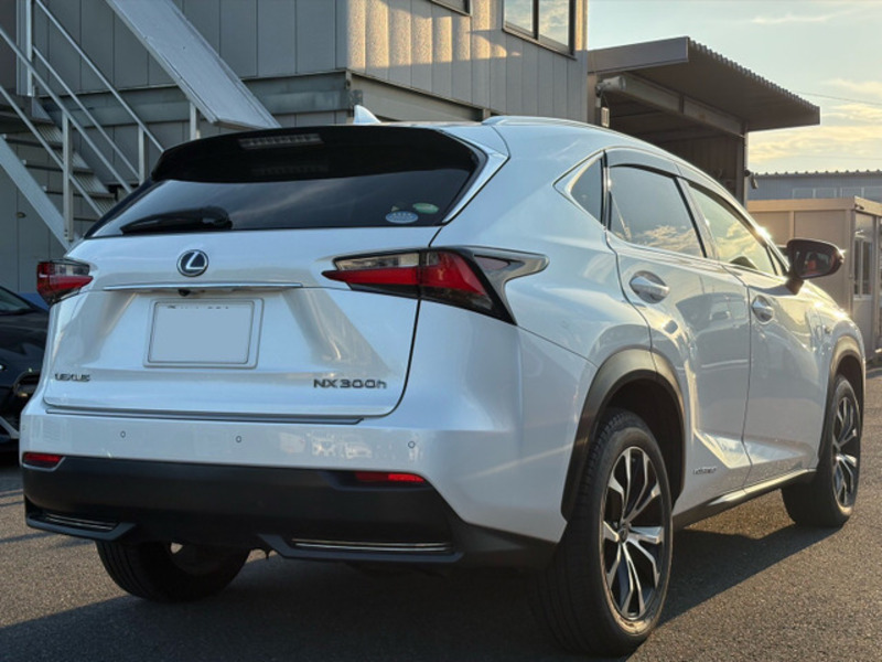 NX