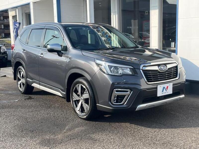 FORESTER