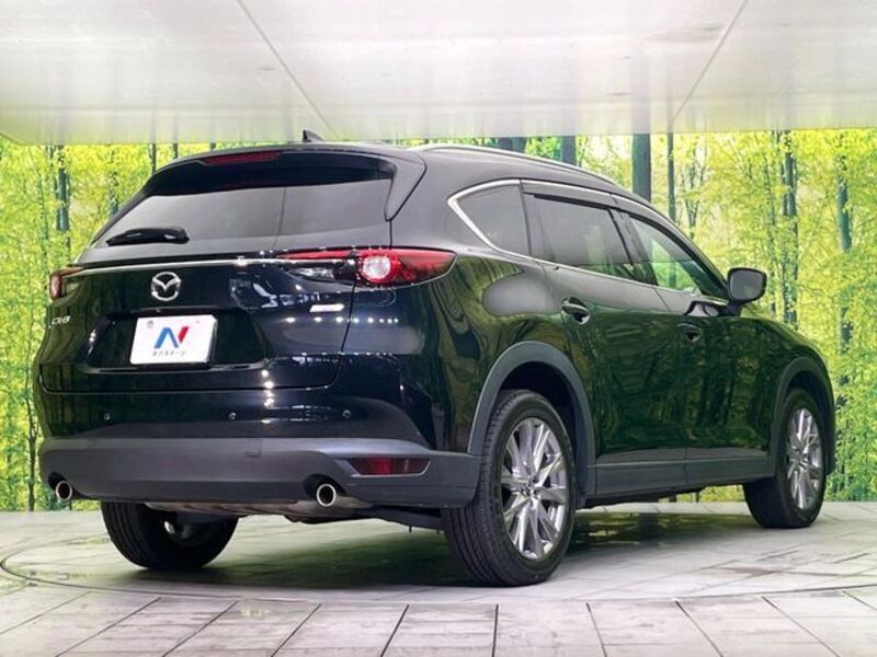 CX-8