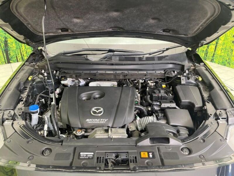 CX-8