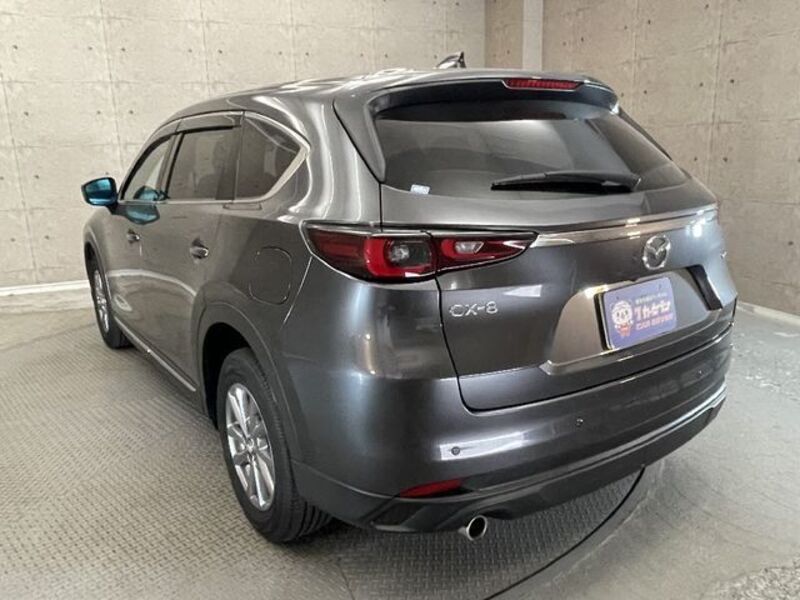 CX-8
