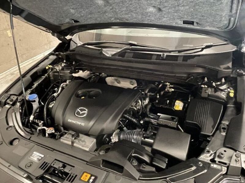 CX-8