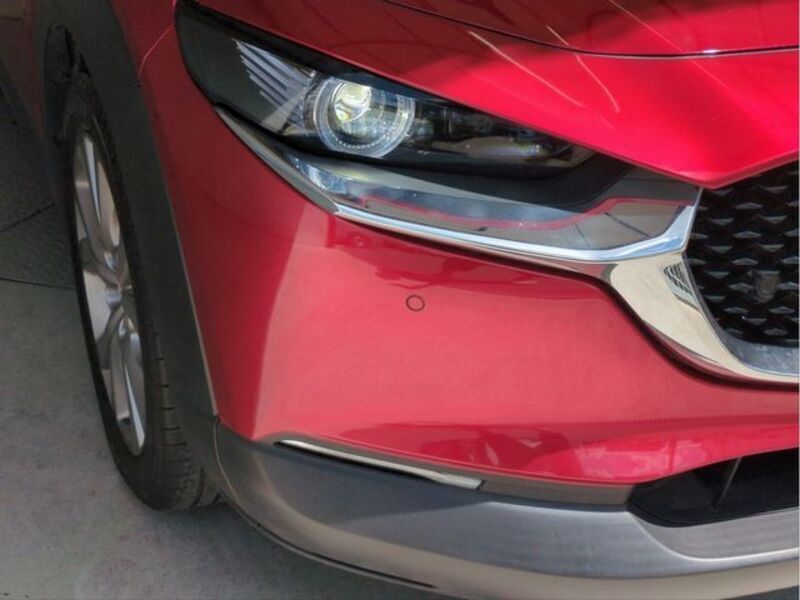 CX-30
