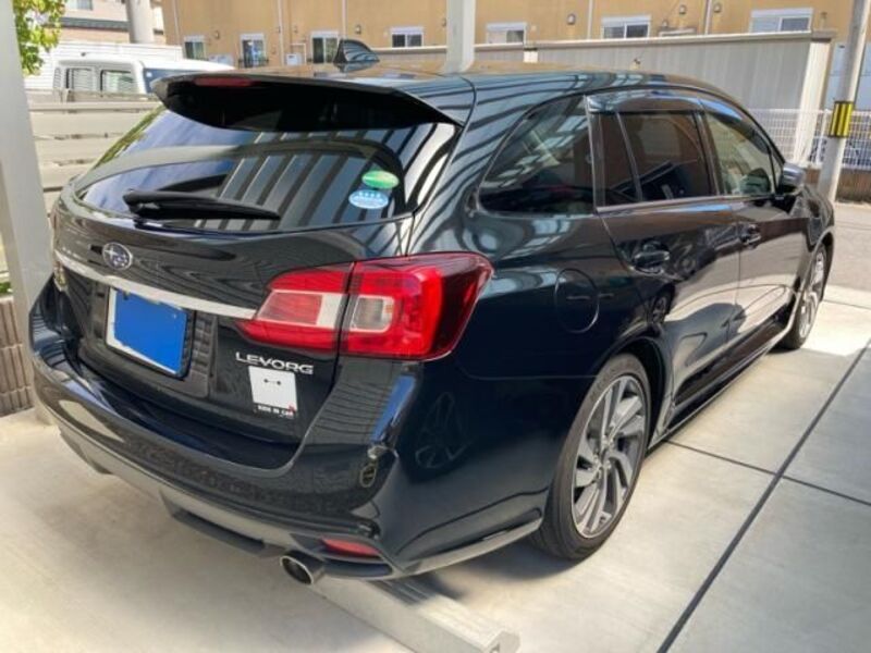LEVORG