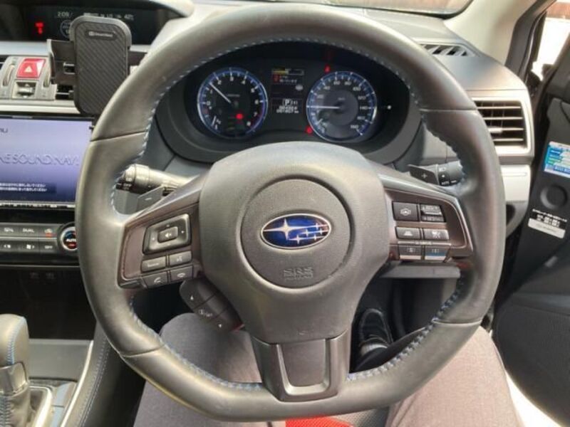 LEVORG