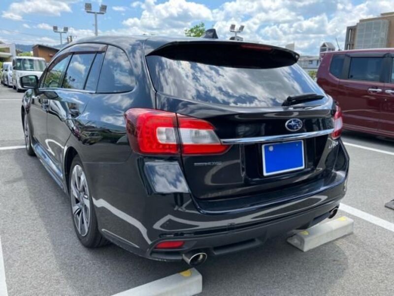 LEVORG