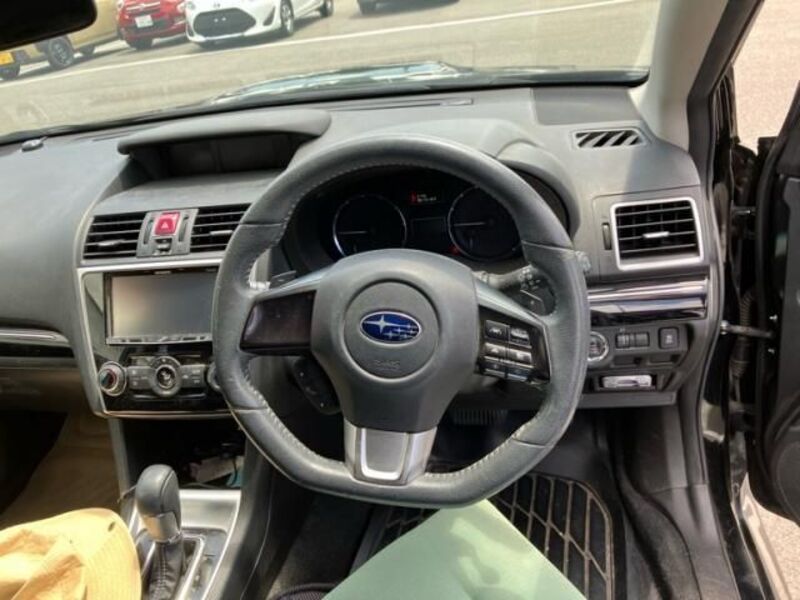 LEVORG